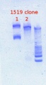 Thumbnail for version as of 12:22, 22 January 2013