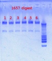 Thumbnail for version as of 11:56, 21 February 2013