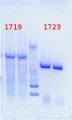 Thumbnail for version as of 10:42, 19 April 2013