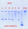 Thumbnail for version as of 15:56, 13 September 2013