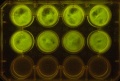 Thumbnail for version as of 13:44, 8 January 2012