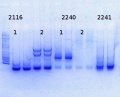 Thumbnail for version as of 15:21, 24 September 2014