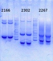 Thumbnail for version as of 14:16, 12 September 2014