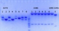 Thumbnail for version as of 12:34, 5 August 2014
