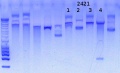 Thumbnail for version as of 18:14, 15 May 2015