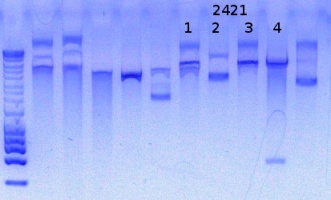 RTENOTITLE