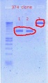 Thumbnail for version as of 17:36, 17 November 2011