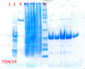 Thumbnail for version as of 10:55, 17 July 2019