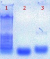 Thumbnail for version as of 13:44, 28 June 2011