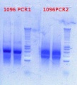 Thumbnail for version as of 14:28, 20 November 2012