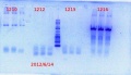 Thumbnail for version as of 15:14, 14 June 2012
