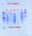Thumbnail for version as of 16:16, 14 August 2012