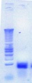 Thumbnail for version as of 13:57, 6 July 2012