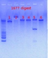 Thumbnail for version as of 15:06, 7 March 2013