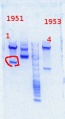 Thumbnail for version as of 13:57, 16 December 2013
