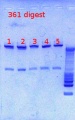 Thumbnail for version as of 14:01, 15 March 2013