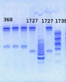 Thumbnail for version as of 15:38, 16 May 2013