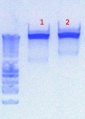 Thumbnail for version as of 16:24, 21 June 2012