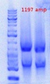 Thumbnail for version as of 14:22, 7 June 2012