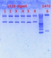 Thumbnail for version as of 14:02, 27 December 2012