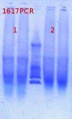 Thumbnail for version as of 17:35, 1 February 2013