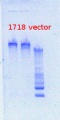Thumbnail for version as of 12:31, 12 April 2013