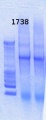 Thumbnail for version as of 15:00, 18 April 2013