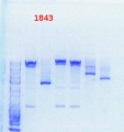 Thumbnail for version as of 14:05, 25 September 2013