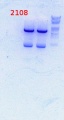 Thumbnail for version as of 09:40, 18 March 2014