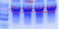 Thumbnail for version as of 11:22, 27 September 2011