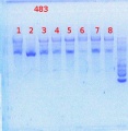 Thumbnail for version as of 13:43, 31 July 2013