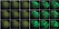 Thumbnail for version as of 14:04, 23 April 2014