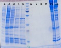 Thumbnail for version as of 17:47, 30 October 2014