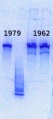 Thumbnail for version as of 10:44, 19 May 2014