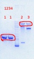 Thumbnail for version as of 15:20, 17 July 2013