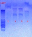 Thumbnail for version as of 15:45, 19 February 2013
