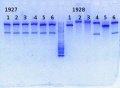 Thumbnail for version as of 15:29, 27 November 2013