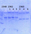Thumbnail for version as of 12:51, 17 October 2014