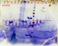 Thumbnail for version as of 17:13, 4 October 2019