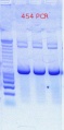 Thumbnail for version as of 14:58, 18 November 2011