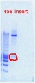 Thumbnail for version as of 15:56, 21 December 2011