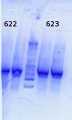 Thumbnail for version as of 16:10, 26 April 2013
