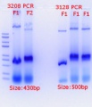 Thumbnail for version as of 13:24, 6 June 2018