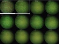 Thumbnail for version as of 18:38, 31 March 2011