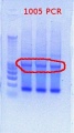 Thumbnail for version as of 13:29, 10 February 2012