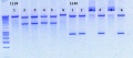 Thumbnail for version as of 13:28, 17 December 2012