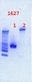 Thumbnail for version as of 14:26, 30 January 2013