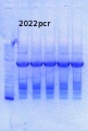 Thumbnail for version as of 15:31, 17 January 2014