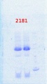 Thumbnail for version as of 12:05, 11 April 2014