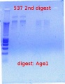 Thumbnail for version as of 14:47, 25 January 2012